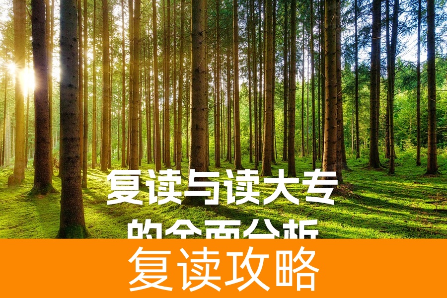 高考落榜:复读与读大专的全面分析